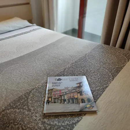 Nap Carta Puebla 奥维耶多